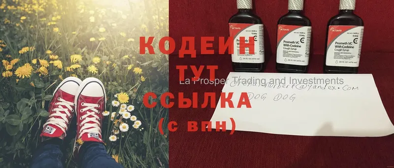 Кодеиновый сироп Lean напиток Lean (лин)  где продают наркотики  Новоалександровск 